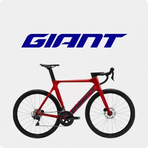 Development of the website for Giant