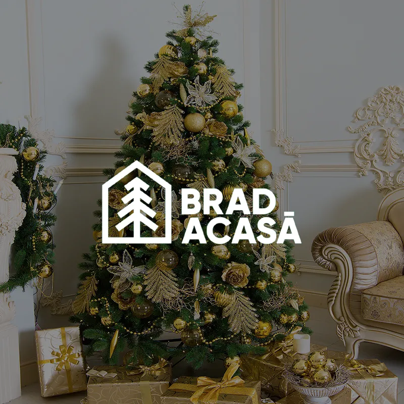 Brad-aсasa - Magazin online de brazi artificiali și decorațiuni de Crăciun