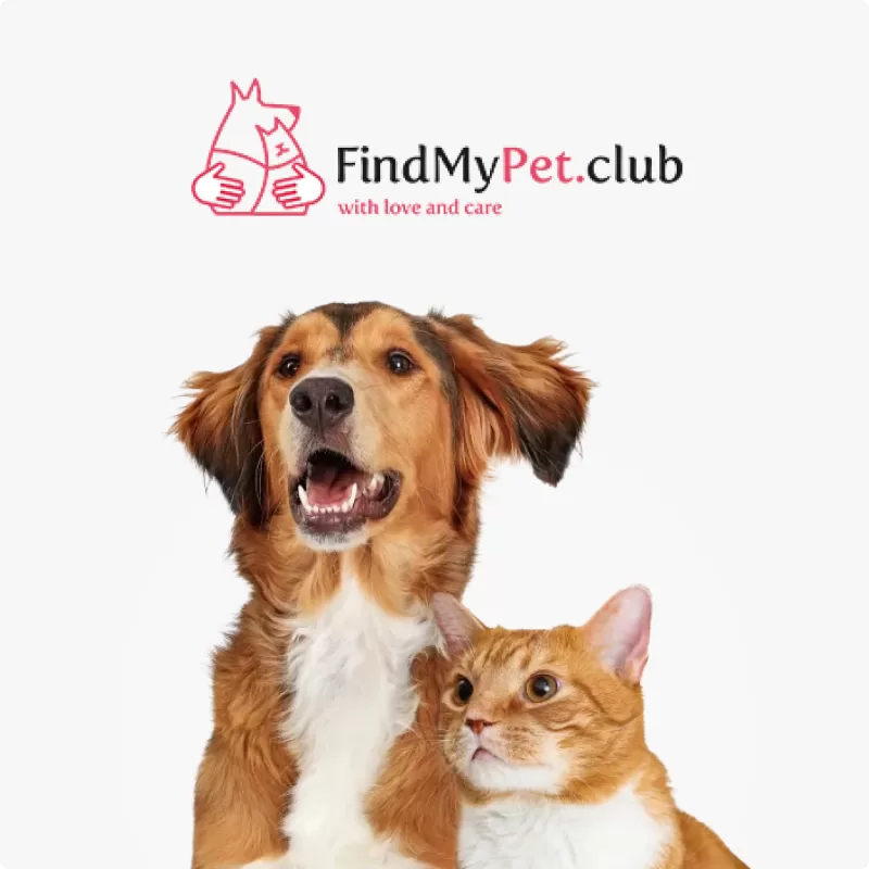 Site-ul tampon pentru serviciul dedicat animalelor de companie