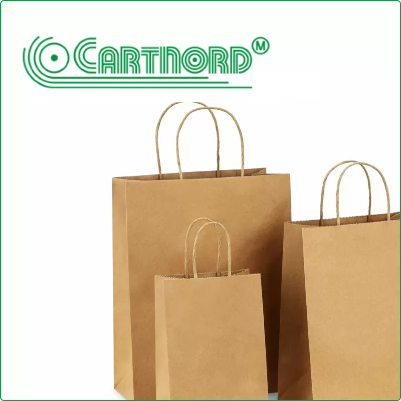 Prezentarea site-ului web Cartnord
